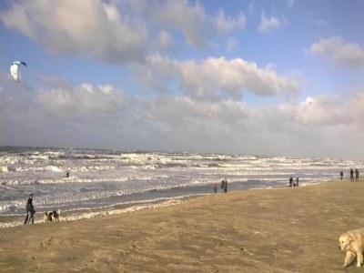 Holiday park Beach House in Wijk aan Zee with Sea Views - Environment photo 14