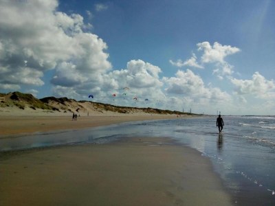 Holiday park Beach House in Wijk aan Zee with Sea Views - Environment photo 31