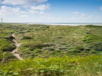 Holiday park Beach House in Wijk aan Zee with Sea Views - Environment photo 36