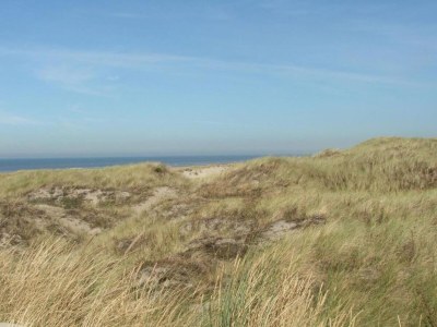 Holiday park Beach House in Wijk aan Zee with Sea View - Environment photo 11