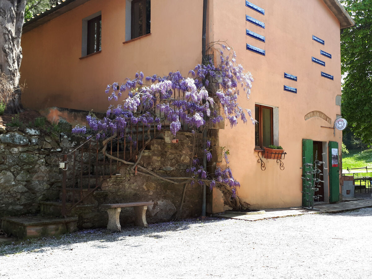 Holiday apartment Terrace - Outdoor photo 2