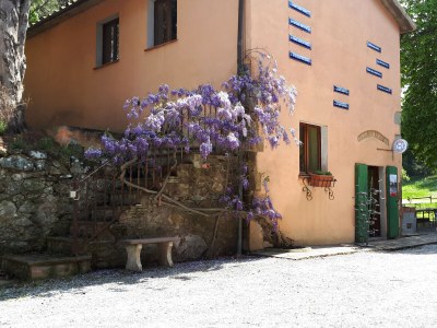 Holiday apartment Terrace - Outdoor photo 2