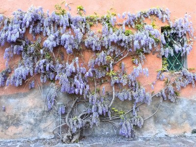 Holiday apartment Terrace - Environment photo 14