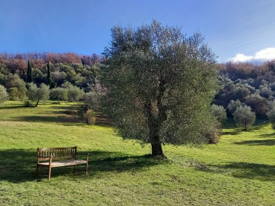 Holiday apartment Terrace - Environment photo 16