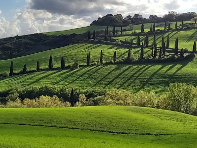 Holiday apartment Terrace - Environment photo 17