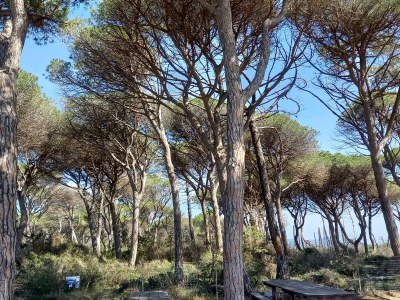 Holiday apartment Terrace - Environment photo 18