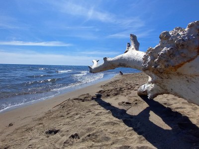 Holiday apartment Terrace - Environment photo 19