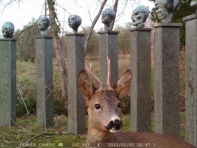 Holiday apartment Terrace - Environment photo 22