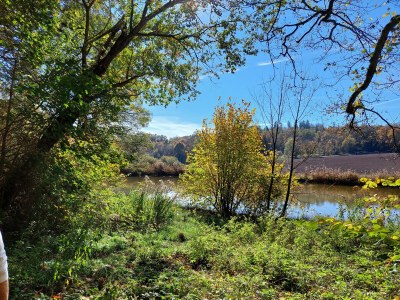 Holiday apartment Lämmlein - Environment photo 30