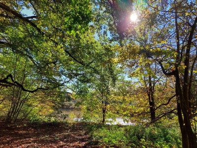 Holiday apartment Lämmlein - Environment photo 31