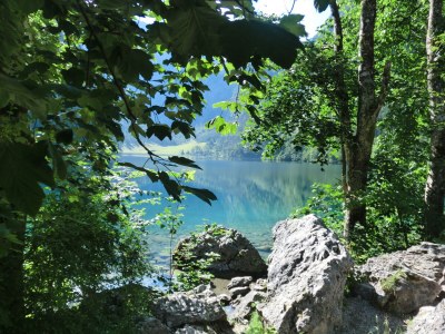 Holiday apartment Lämmlein - Environment photo 36