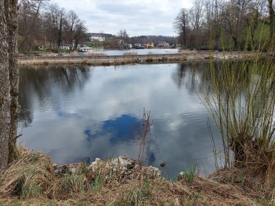 Holiday apartment Lämmlein - Environment photo 40