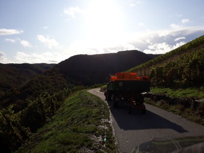 Holiday apartment Loreley im Weingut Lithos - Outdoor photo 6