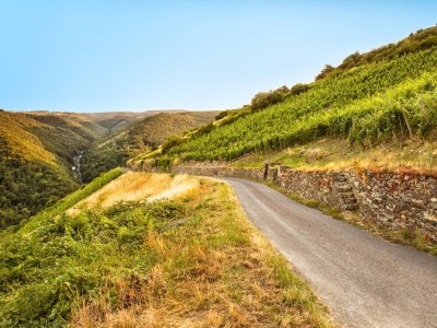 Holiday apartment Loreley im Weingut Lithos - Environment photo 13