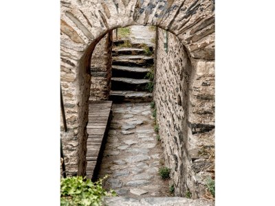 Holiday apartment Loreley im Weingut Lithos - Environment photo 21