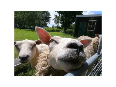 Holiday apartment Welborn - Outdoor photo 3