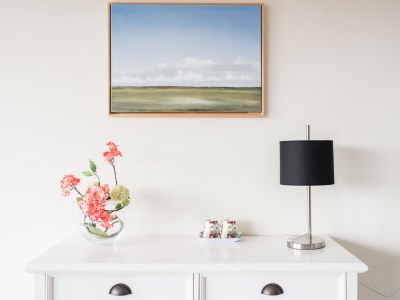 Holiday apartment Amelander Paradijs 10 (Tresca) - Features photo 7