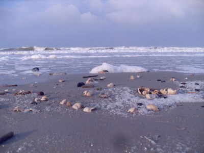 Holiday apartment Amelander Paradijs 10 (Tresca) - Environment photo 11