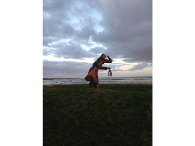 Holiday apartment Amelander Paradijs 10 (Tresca) - Environment photo 16