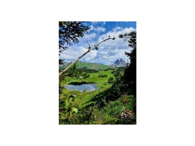 Apartment Top 1 - Outdoor photo 12