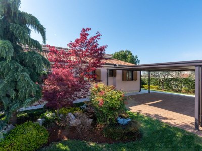 Villa Lori - Environment photo 22