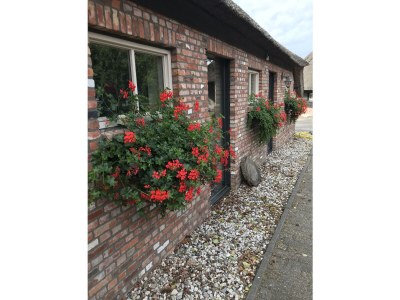 Holiday house Boerensuite 't Karschop - Outdoor photo 6