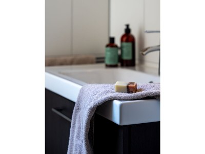 Holiday house Boerensuite 't Karschop - Features photo 20