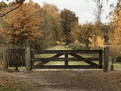 Holiday house Boerensuite 't Karschop - Environment photo 22