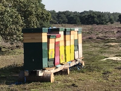 Holiday house Boerensuite 't Karschop - Environment photo 23