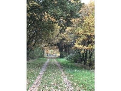 Holiday house Boerensuite 't Karschop - Environment photo 24