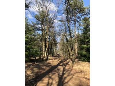 Holiday house Boerensuite 't Karschop - Environment photo 25