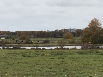 Holiday house Boerensuite 't Karschop - Environment photo 27