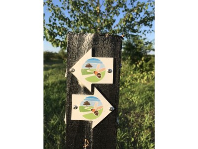 Holiday house Boerensuite 't Karschop - Environment photo 28