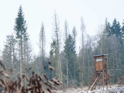 Apartment CabinWesterwald - Features photo 50