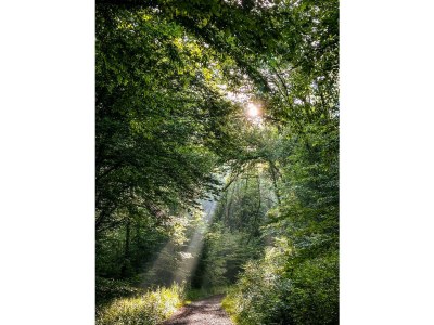 Apartment CabinWesterwald - Features photo 51