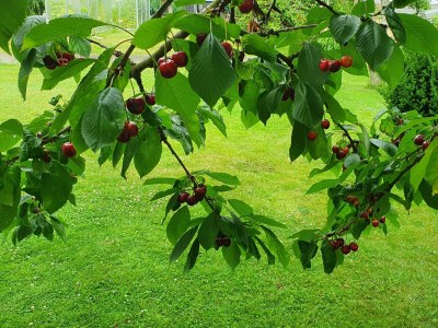 Apartment 2-Bettwohnung - Outdoor photo 12