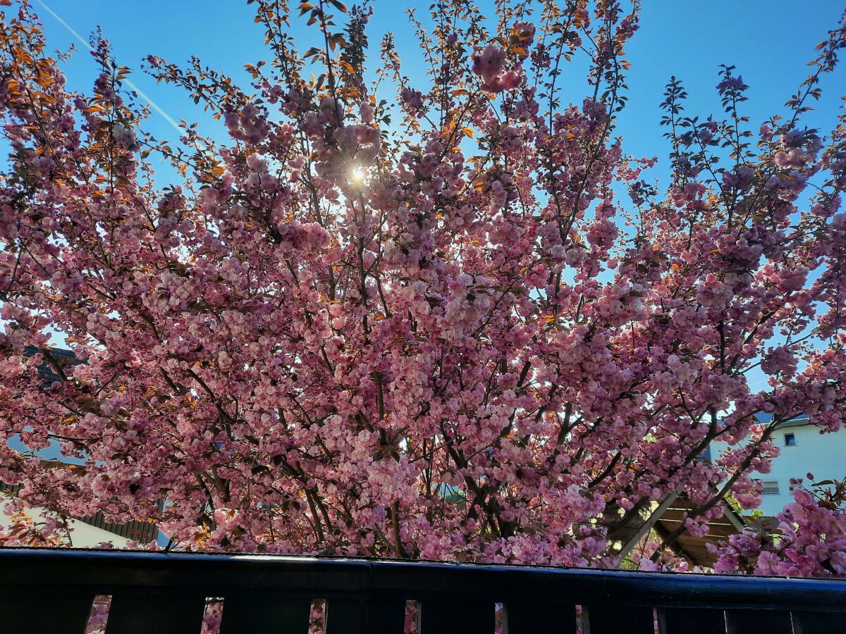 Apartment Wäller Stübchen - Outdoor photo 4
