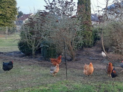 Apartment Wäller Stübchen - Outdoor photo 9