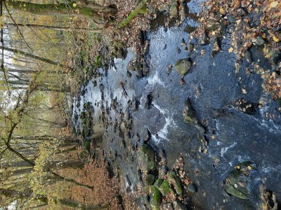 Apartment Wäller Stübchen - Outdoor photo 10