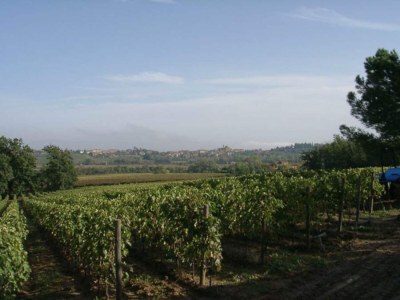 Apartment Gemütliche Wohnung im Zentrum von Acquaviva-SI - Outdoor photo 8