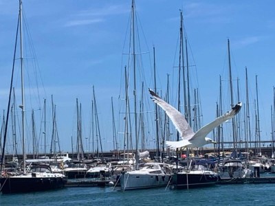 Villa Villa in der Nähe von Valencia mit privatem Pool - Environment photo 28