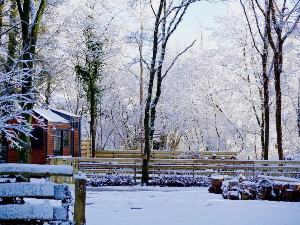 Holiday house Tiny House in Hoogersmilde mit Garten und Parkplatz - Outdoor photo 2