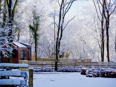 Holiday house Tiny House in Hoogersmilde mit Garten und Parkplatz - Outdoor photo 2