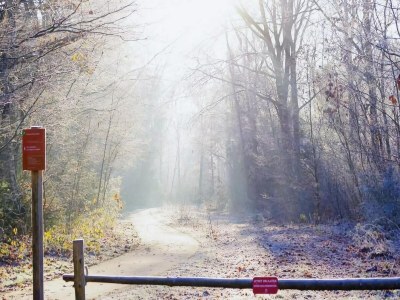 Holiday house Tiny House in Hoogersmilde mit Garten und Parkplatz - Environment photo 31