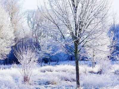 Holiday house Tiny House in Hoogersmilde mit Garten und Parkplatz - Environment photo 32
