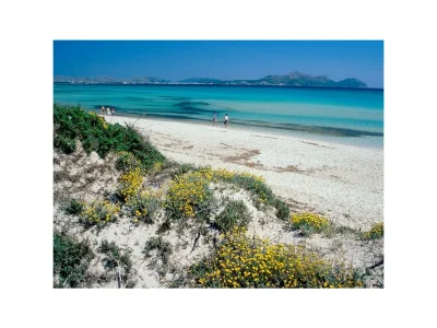 Apartment AL PUJOL - Environment photo 26