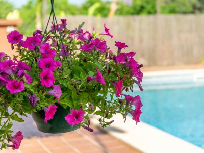 Apartment CAN FIOLET - Outdoor photo 11