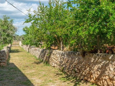 Apartment CAN FIOLET - Outdoor photo 19