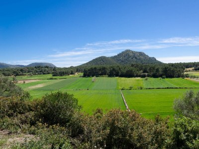 Apartment CAN FIOLET - Outdoor photo 22