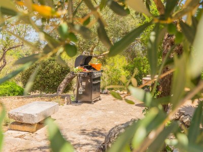 Apartment HORTELLA (ECOFINCA) - Outdoor photo 12